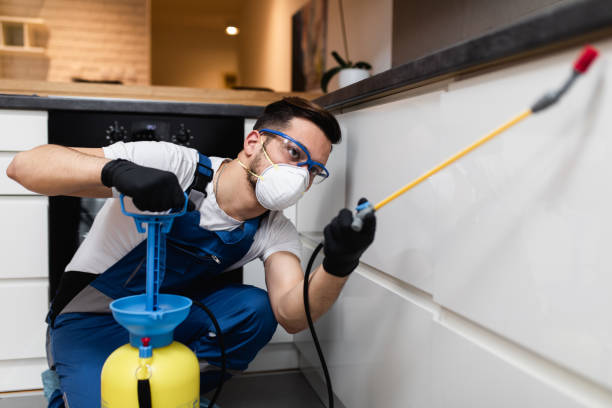 Trusted Mayfield Heights, OH Pest Control Experts