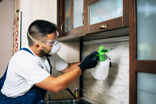 Best Mosquito Control Services  in Mayfield Heights, OH