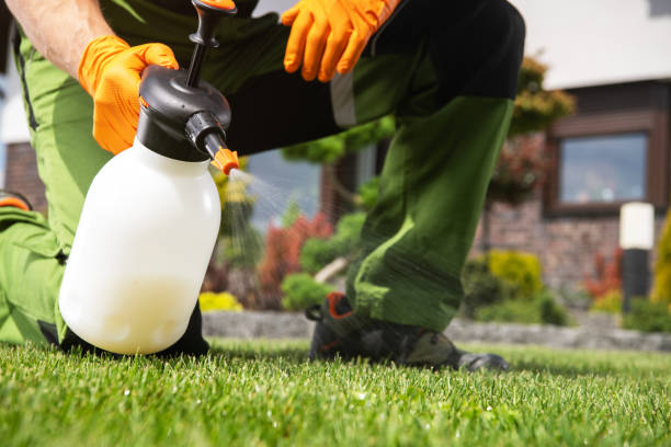 Wildlife Control Services in Mayfield Heights, OH