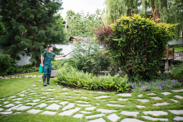 Best Pest Prevention Services  in Mayfield Heights, OH