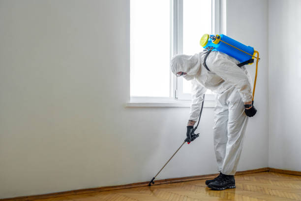 Best Commercial Pest Control Services  in Mayfield Heights, OH