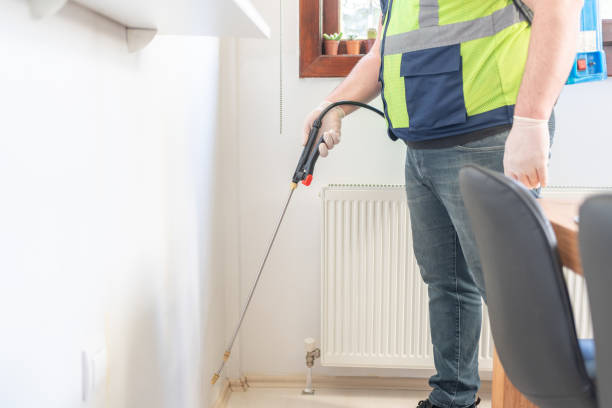 Best Termite Control Services  in Mayfield Heights, OH