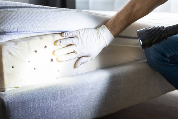 Best Best Pest Control Companies  in Mayfield Heights, OH