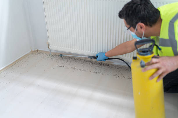 Best Ant Control Services  in Mayfield Heights, OH