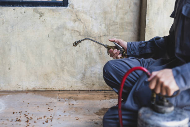 Best Pest Inspection Near Me  in Mayfield Heights, OH